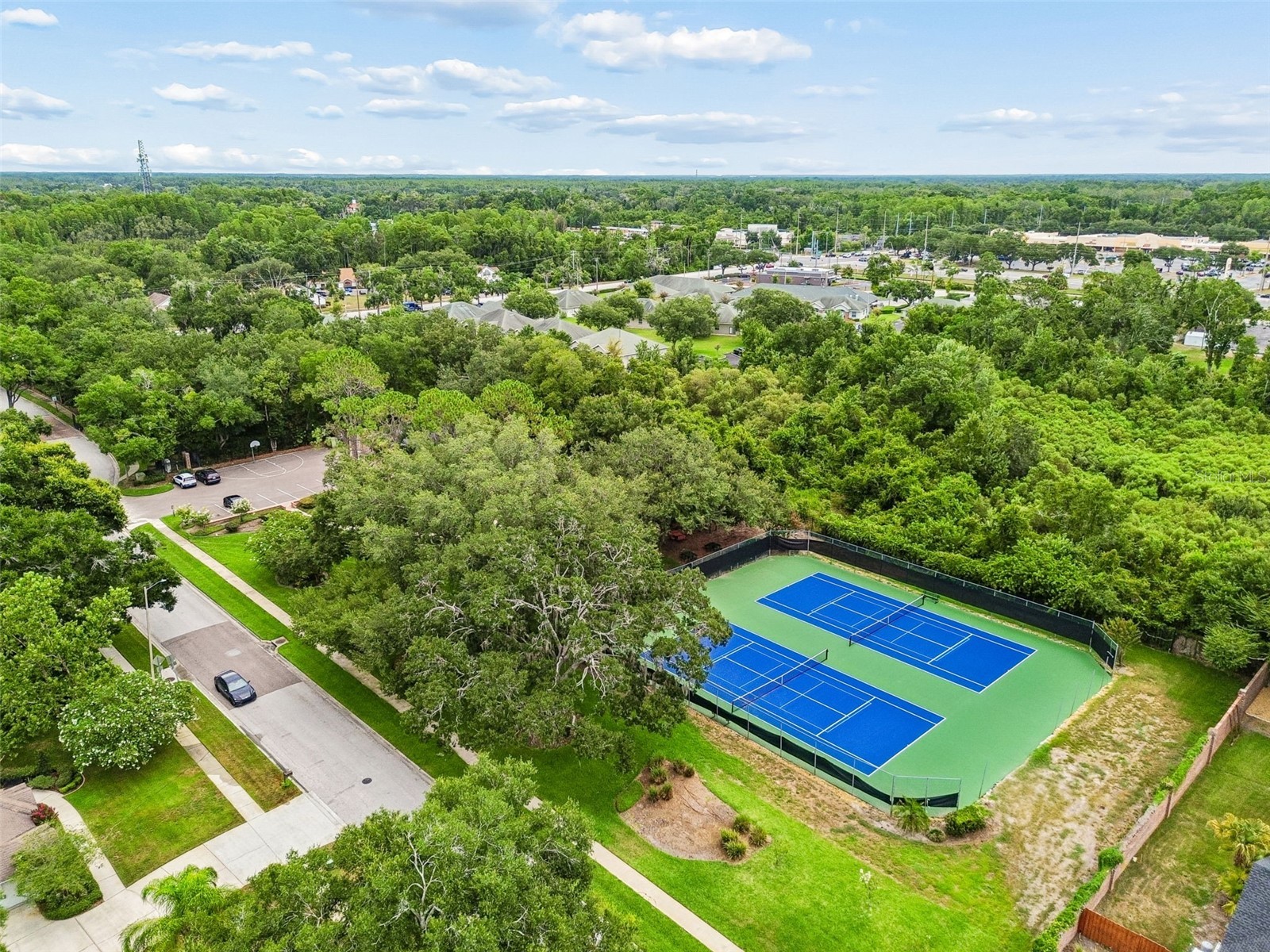 18106 Fairmead Court Lutz FL 33548 TB8521936 image44