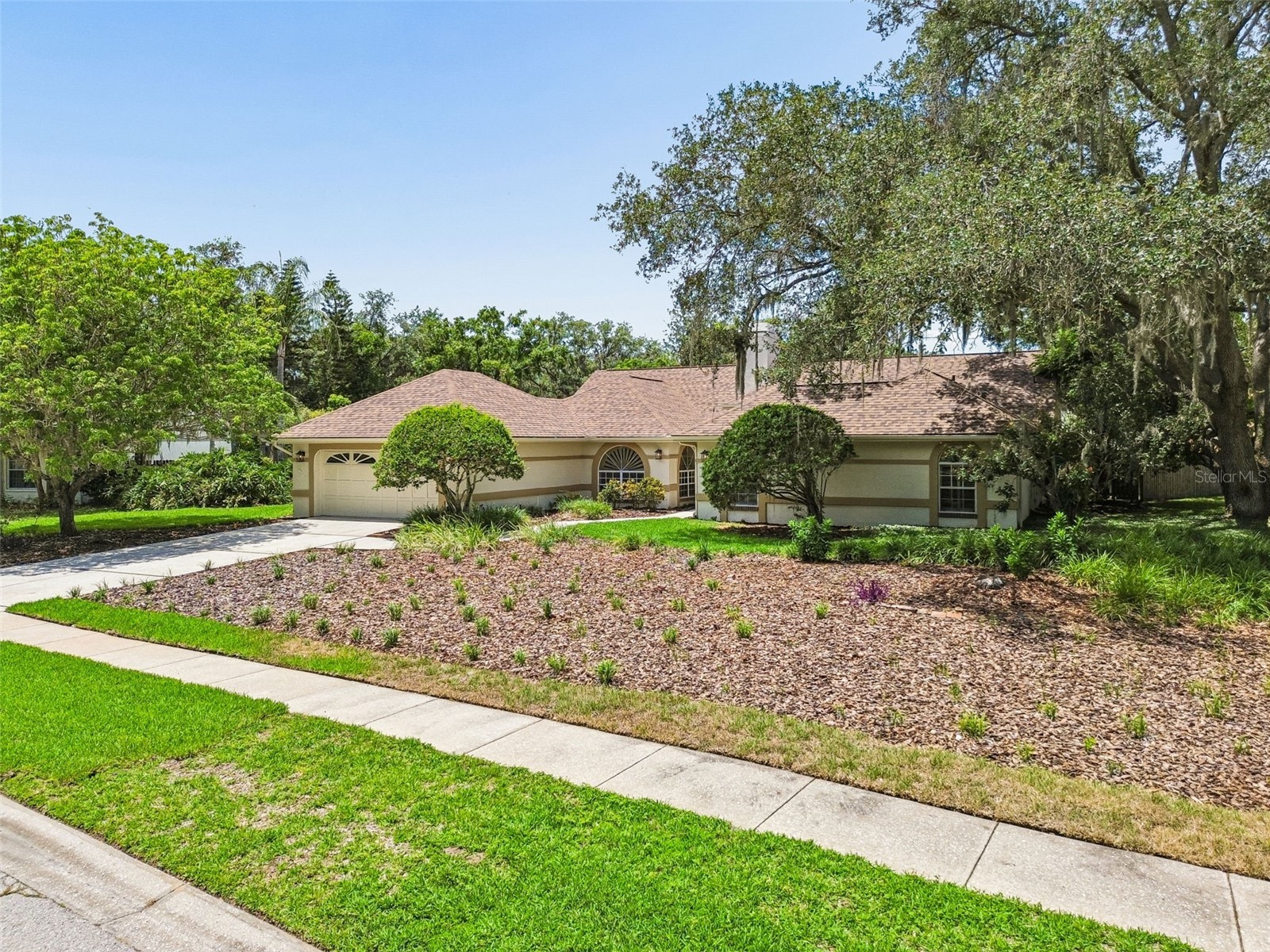 18106 Fairmead Court Lutz FL 33548 TB8521936 image50