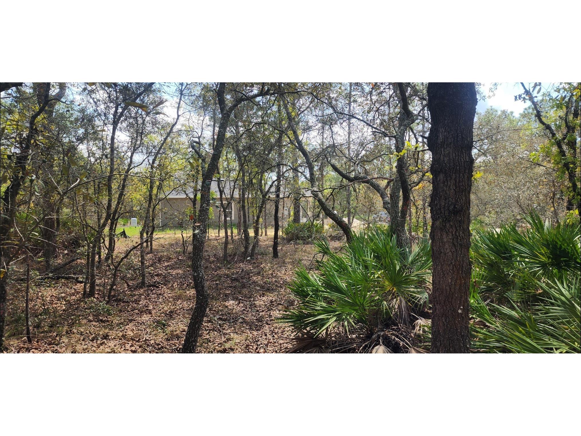 18106 Parakeet Road Brooksville FL 34614 TB8532466 image2