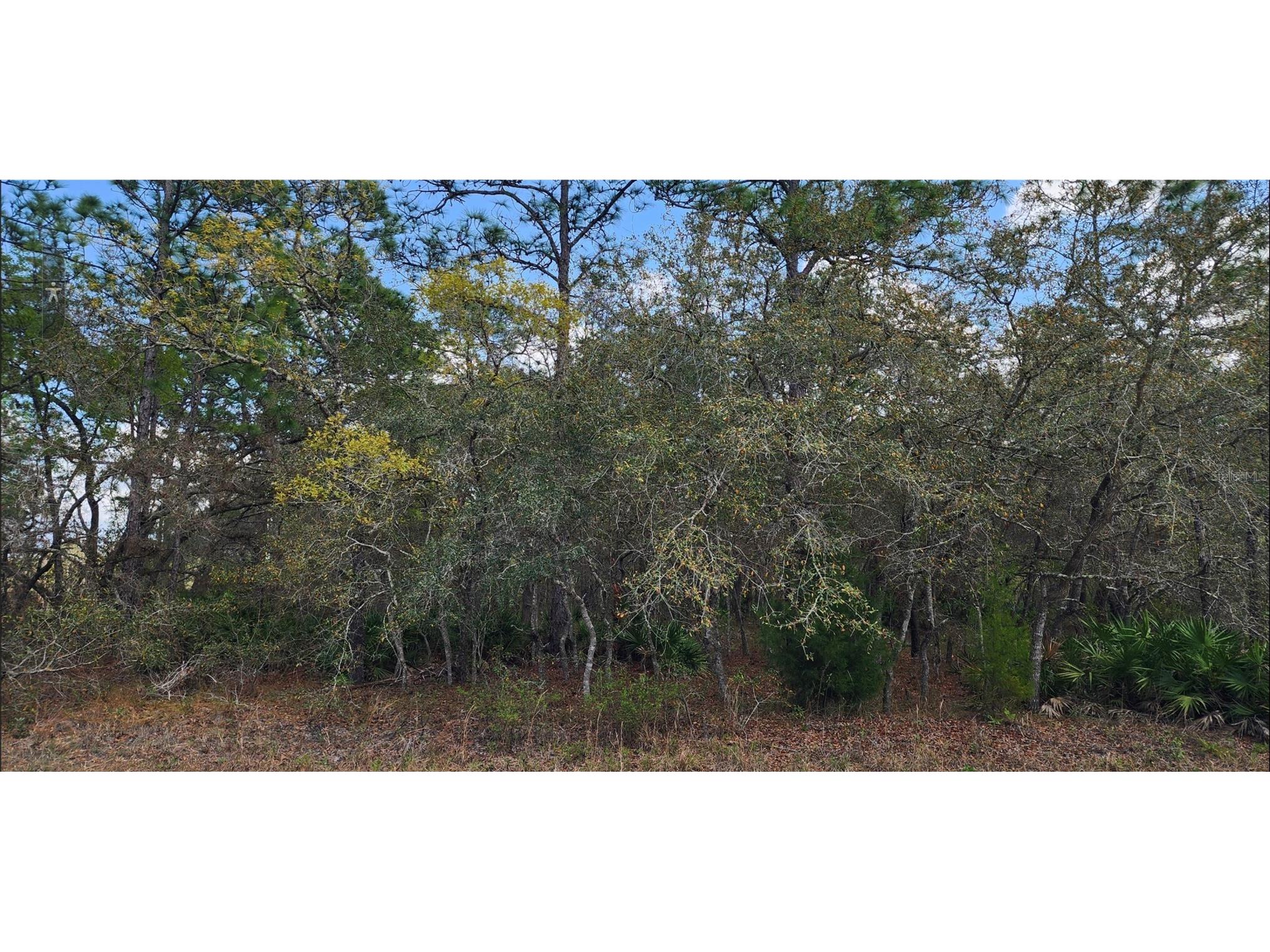 18106 Parakeet Road Brooksville FL 34614 TB8532466 image4