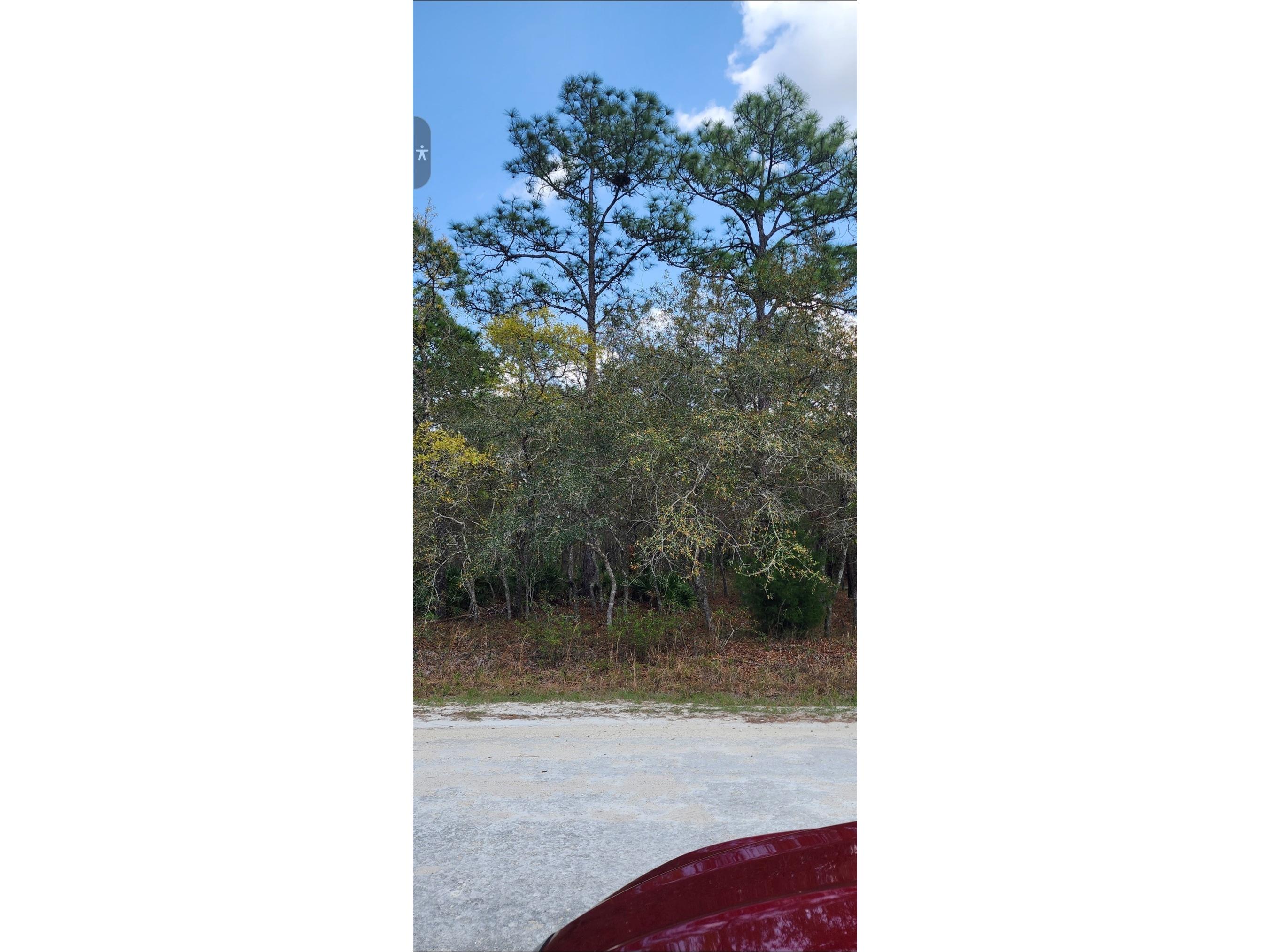 18106 Parakeet Road Brooksville FL 34614 TB8532466 image5