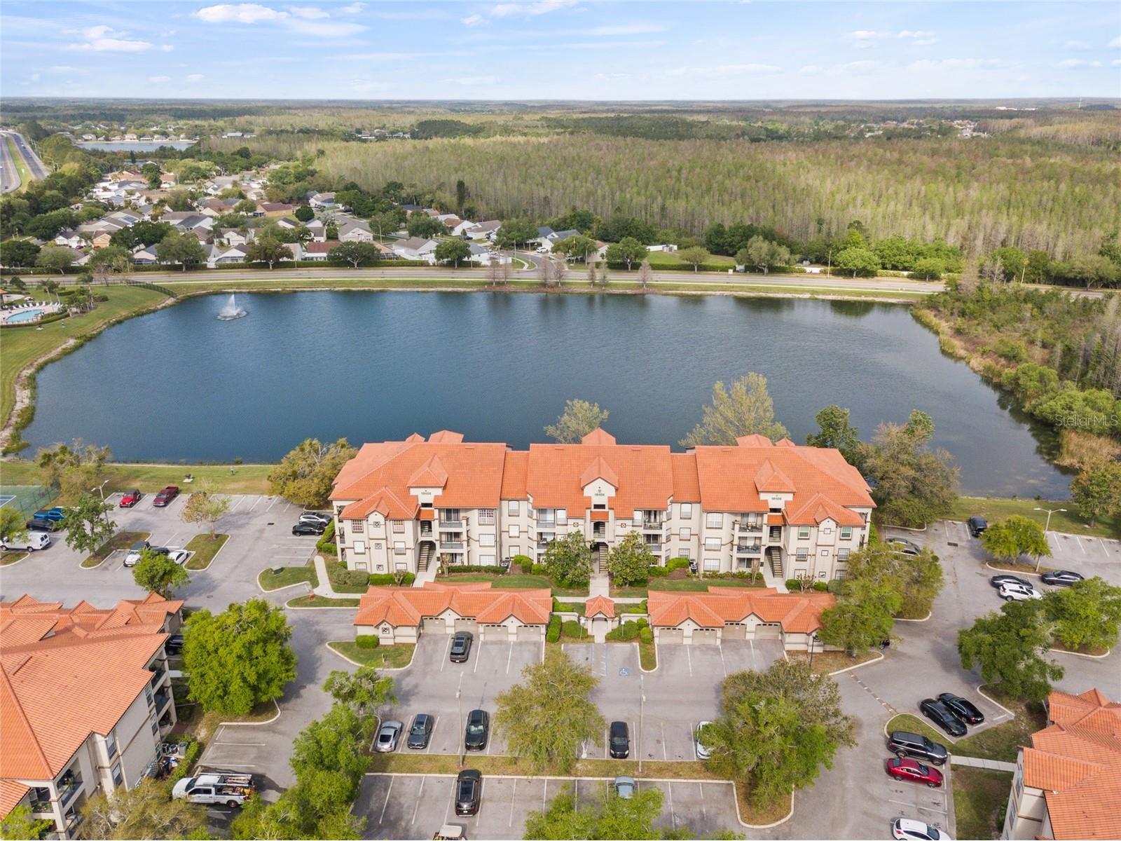 18106 Peregrines Perch Place #5104 Lutz FL 33558 A4687626 image16