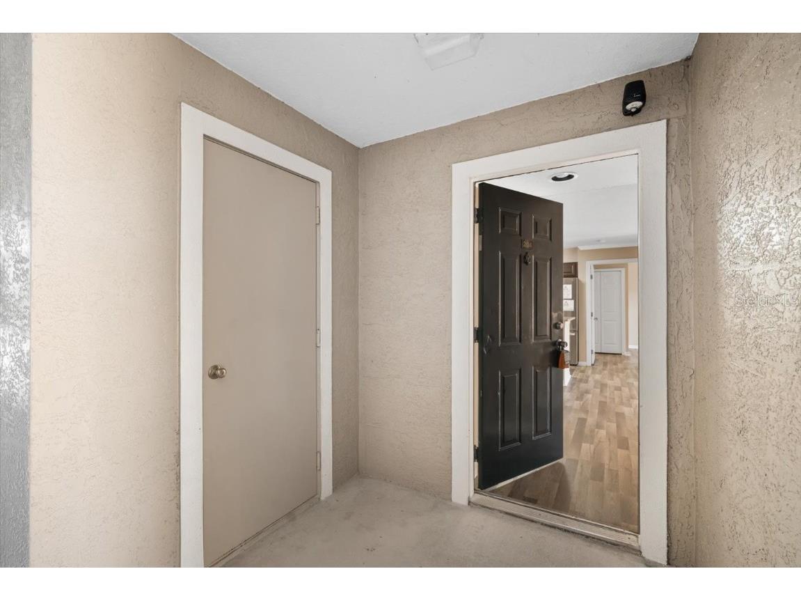 18106 Peregrines Perch Place #5204 Lutz FL 33558 TB8325527 image22