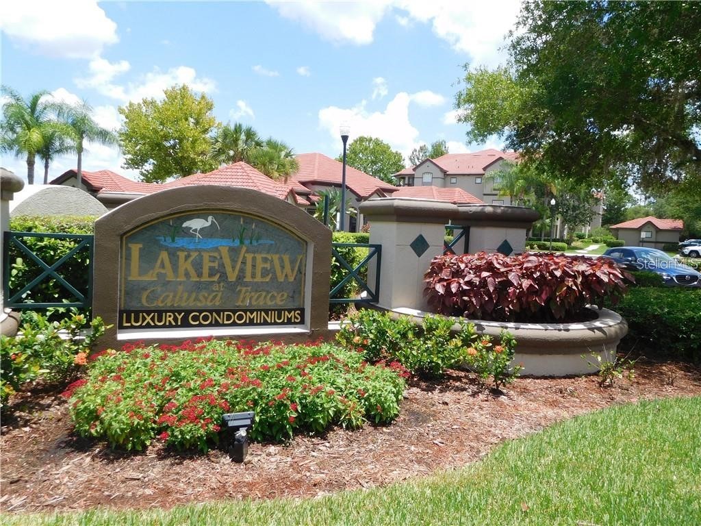 18106 Peregrines Perch Place #5208 Lutz FL 33558 TB8352244 image1