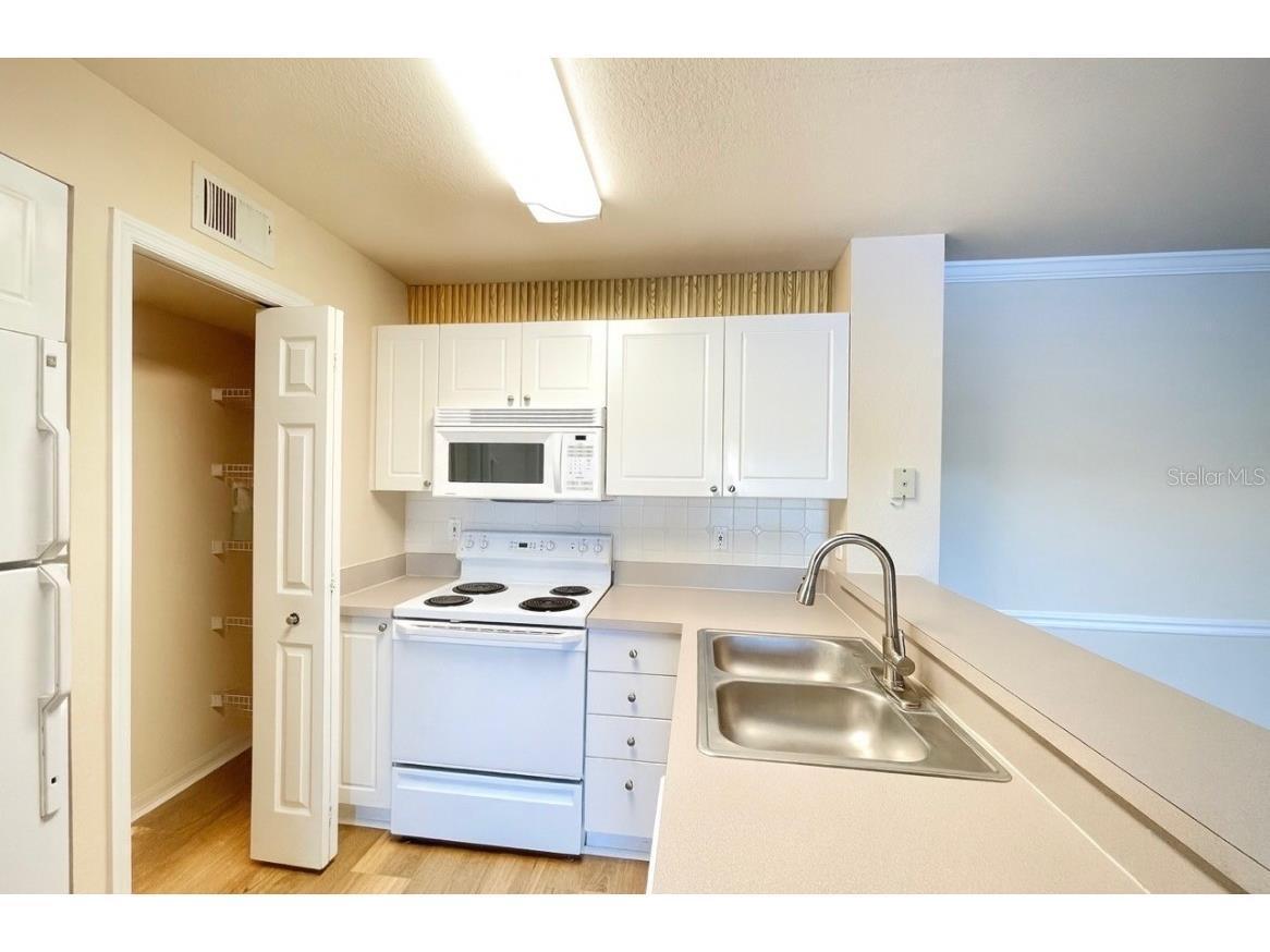 18106 Peregrines Perch Place #5209 Lutz FL 33558 TB8439379 image12