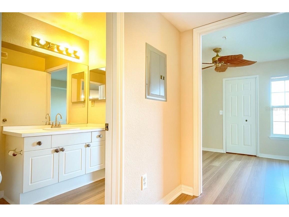 18106 Peregrines Perch Place #5209 Lutz FL 33558 TB8439379 image22