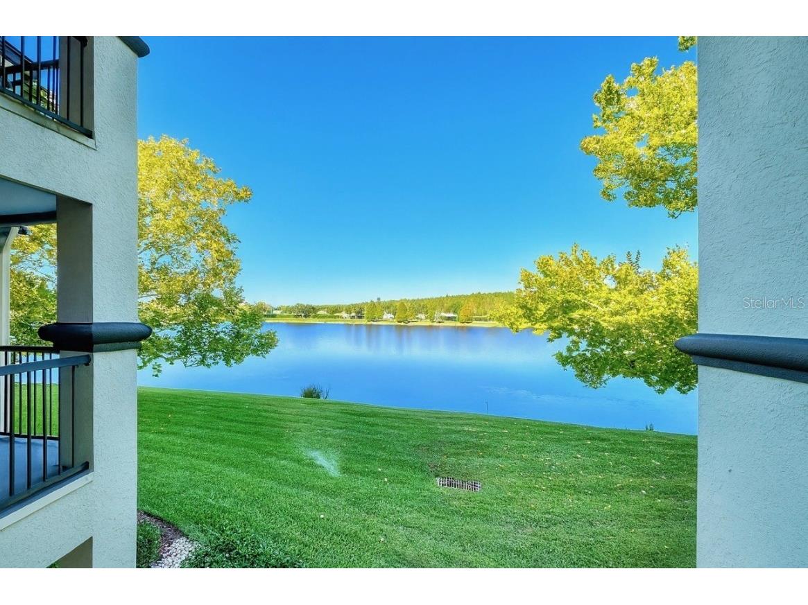 18106 Peregrines Perch Place #5209 Lutz FL 33558 TB8439379 image25