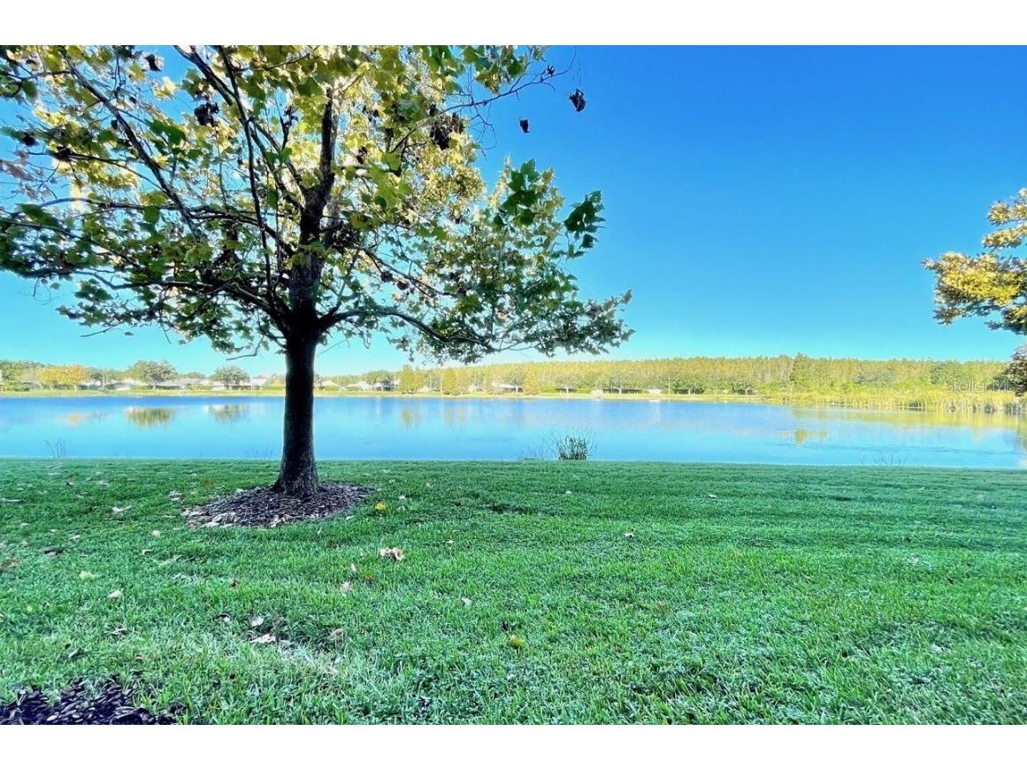 18106 Peregrines Perch Place #5209 Lutz FL 33558 TB8439379 image26