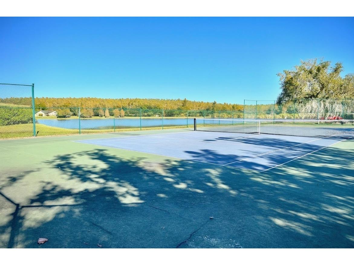 18106 Peregrines Perch Place #5209 Lutz FL 33558 TB8439379 image27