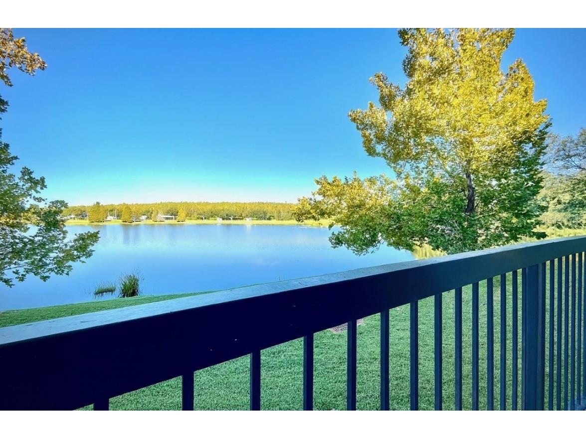 18106 Peregrines Perch Place #5209 Lutz FL 33558 TB8439379 image4