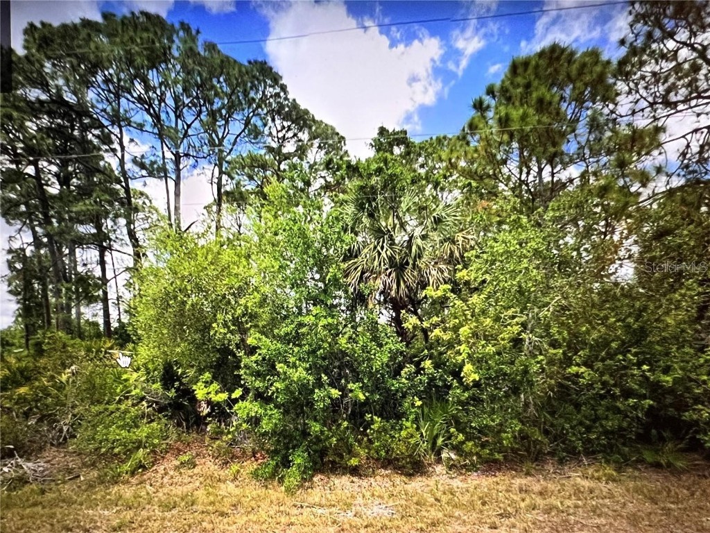 18106 Sicily Avenue Port Charlotte FL 33948 O6212559 image4