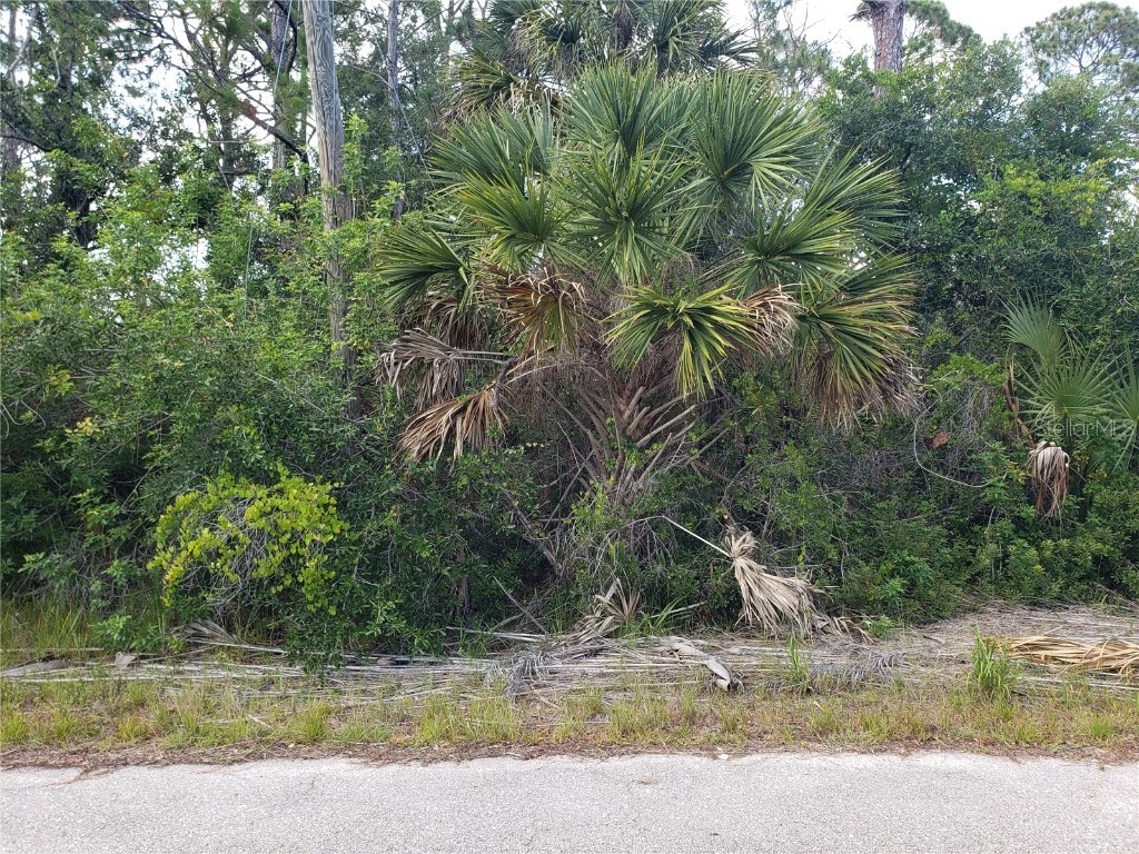 18106 Sicily Avenue Port Charlotte FL 33948 O6212559 image5