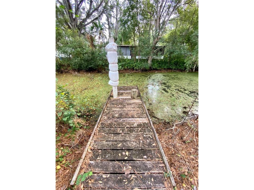 18107 Lake Front Drive Lutz FL 33548 TB8453729 image25