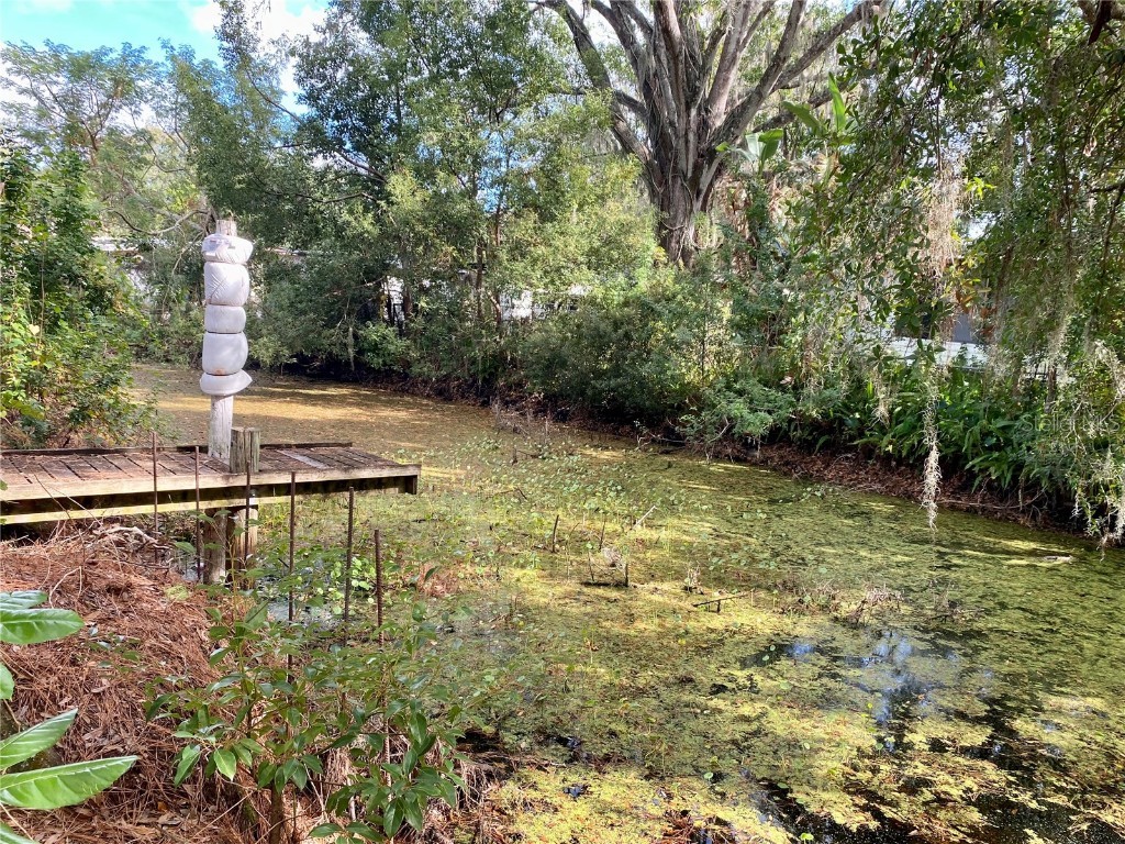 18107 Lake Front Drive Lutz FL 33548 TB8453729 image26