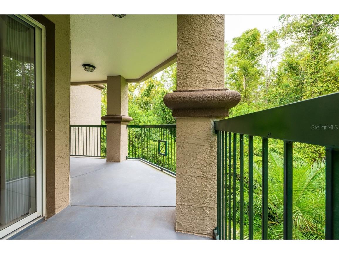 18107 Peregrines Perch Place #212 Lutz FL 33558 TB8425092 image23