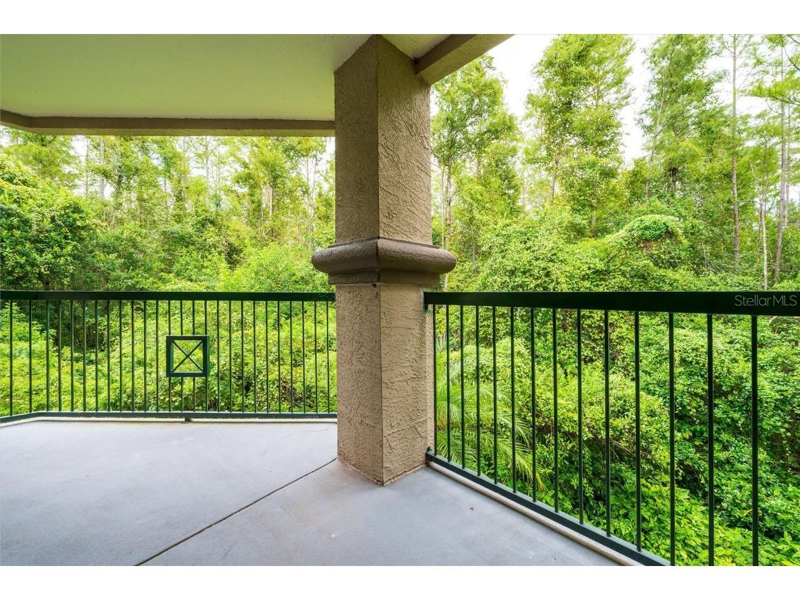 18107 Peregrines Perch Place #212 Lutz FL 33558 TB8425092 image24