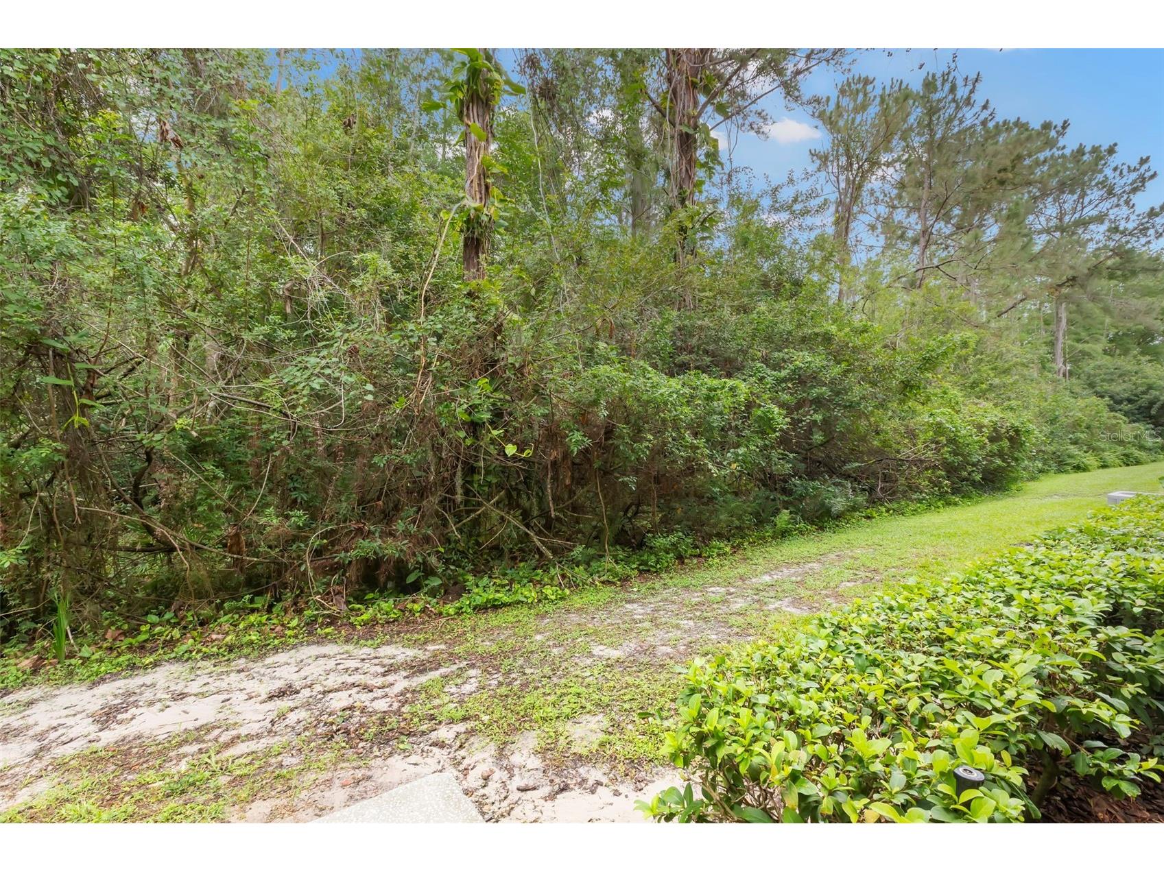18107 Peregrines Perch Place #6111 Lutz FL 33558 TB8512842 image14