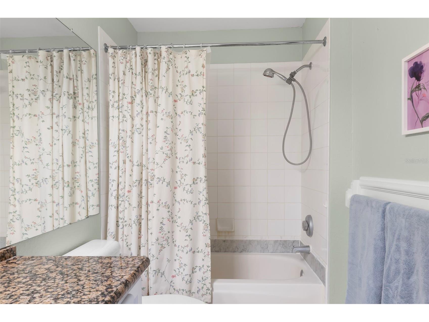 18107 Peregrines Perch Place #6111 Lutz FL 33558 TB8512842 image32