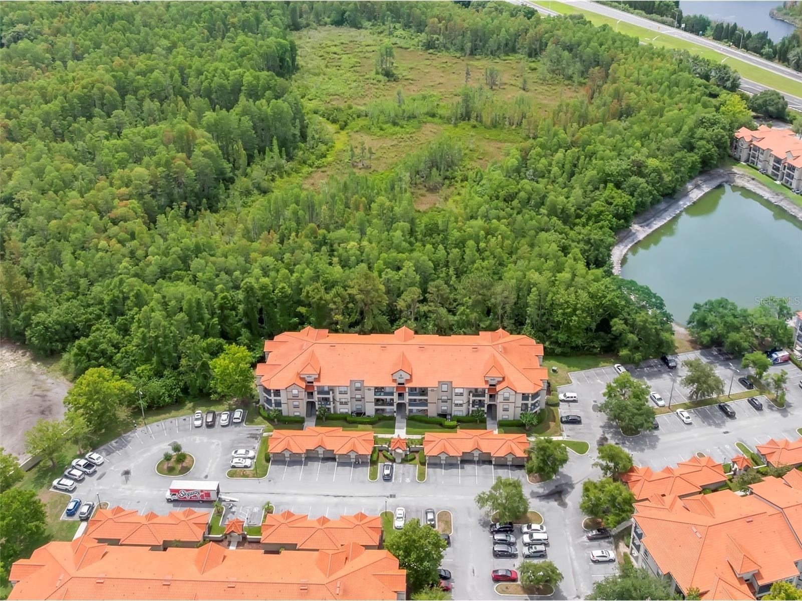 18107 Peregrines Perch Place #6111 Lutz FL 33558 TB8512842 image7