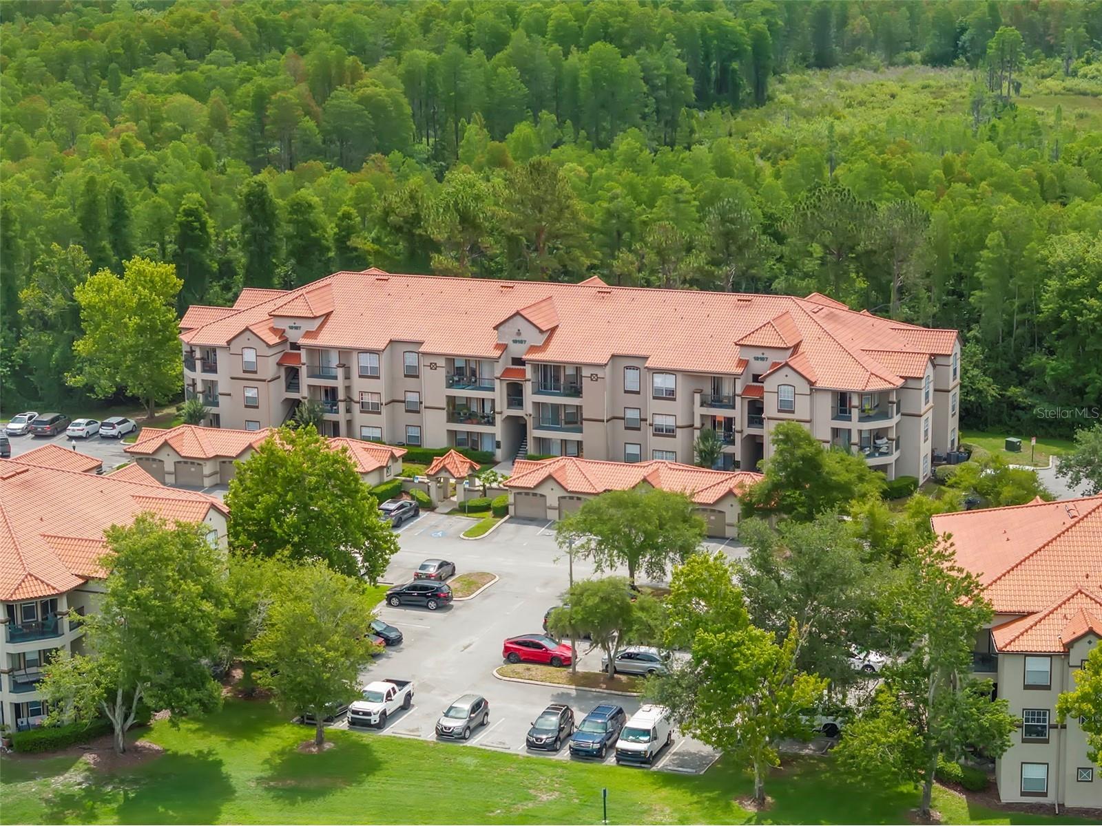 18107 Peregrines Perch Place #6111 Lutz FL 33558 TB8512842 image8