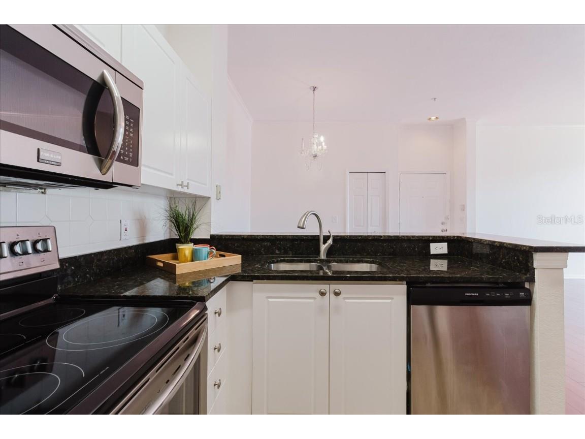 18107 Peregrines Perch Place #6303 Lutz FL 33558 TB8388420 image14