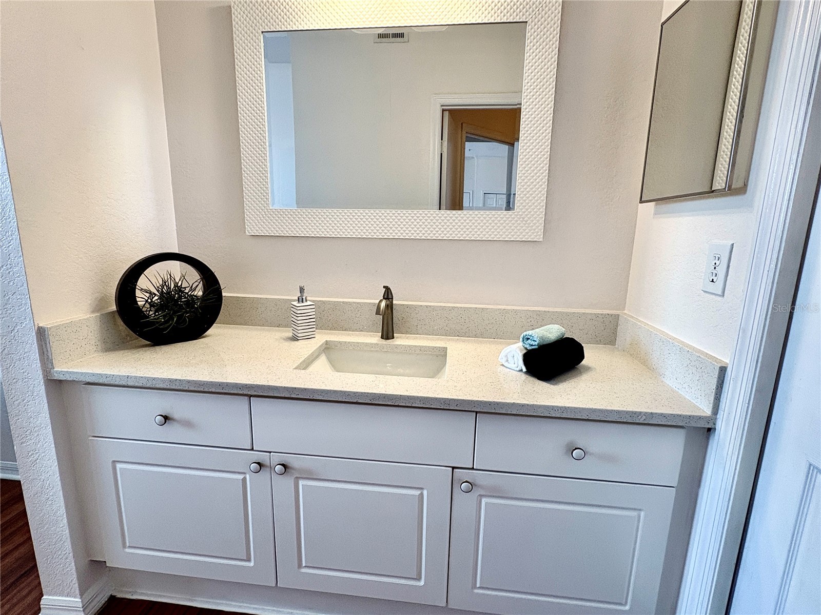 18107 Peregrines Perch Place #6303 Lutz FL 33558 TB8493795 image17