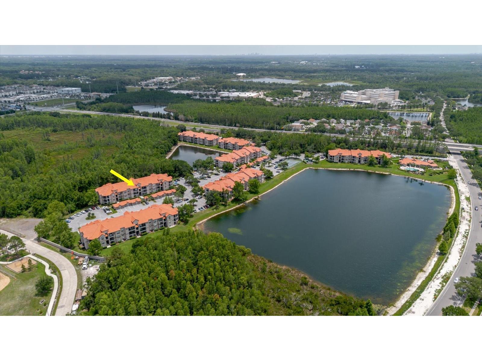 18107 Peregrines Perch Place #6303 Lutz FL 33558 TB8493795 image28