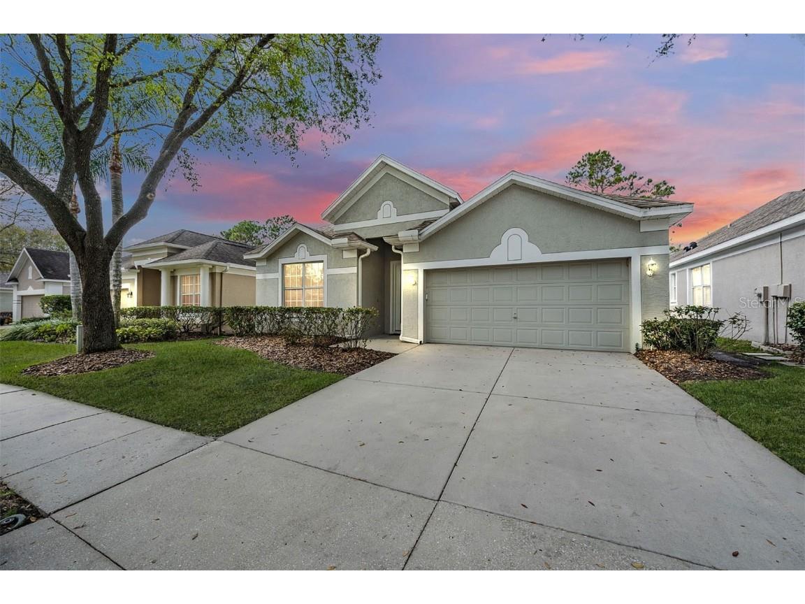 18108 Hamden Park Way Tampa FL 33647 T3433267 image1