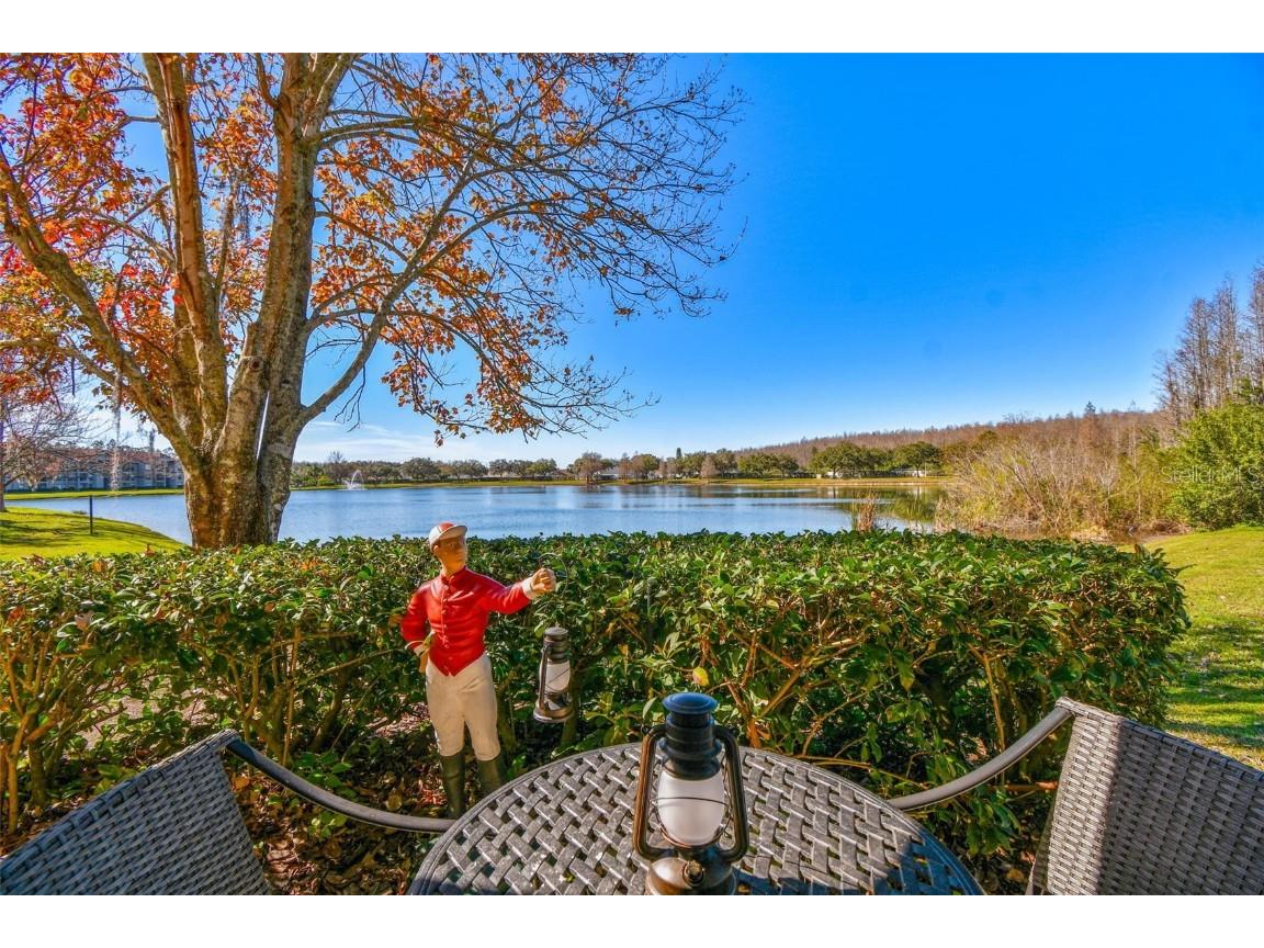 18108 Peregrines Perch Place #112 Lutz FL 33558 T3499359 image1