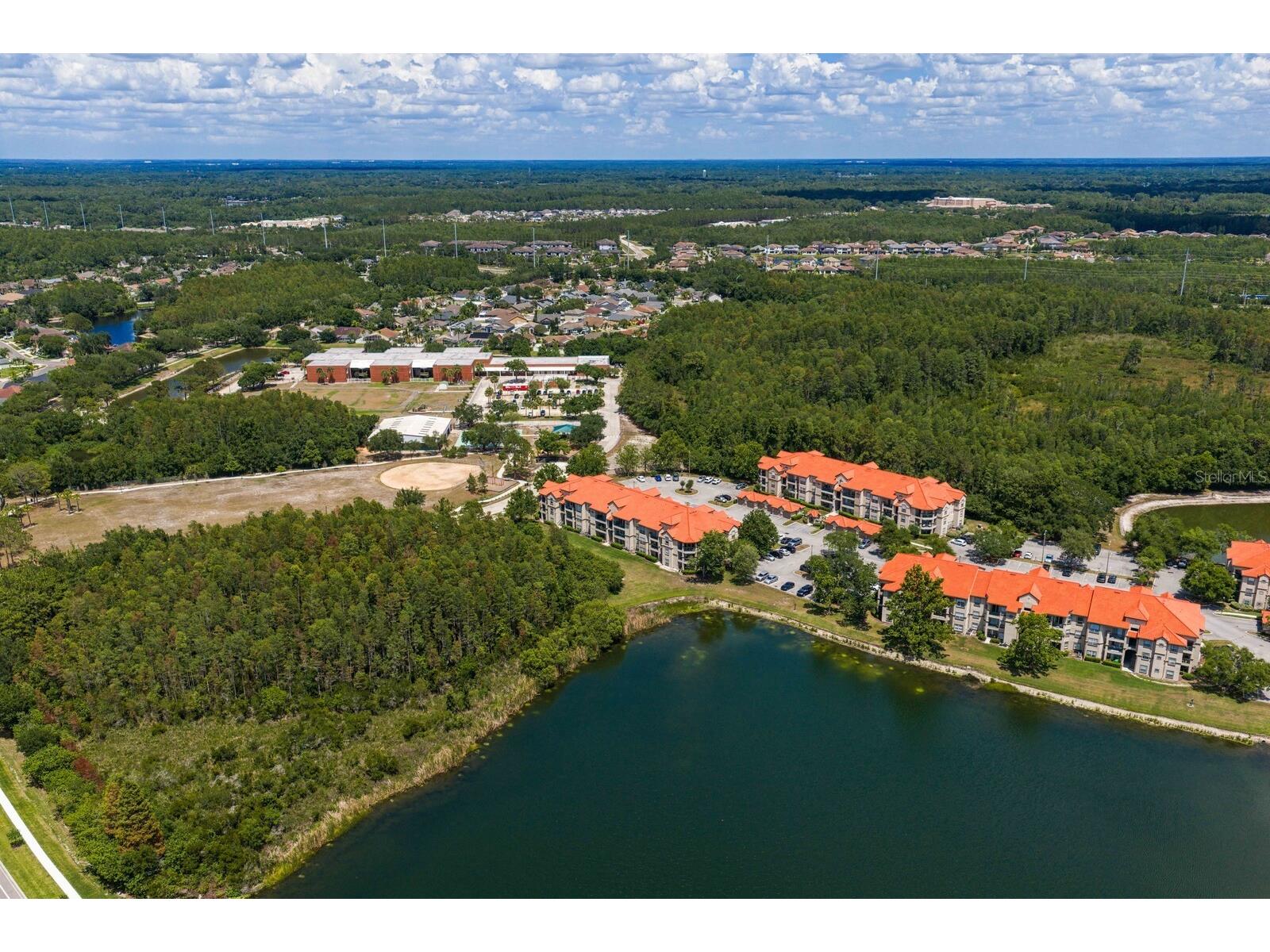 18108 Peregrines Perch Place #7110 Lutz FL 33558 TB8513236 image40