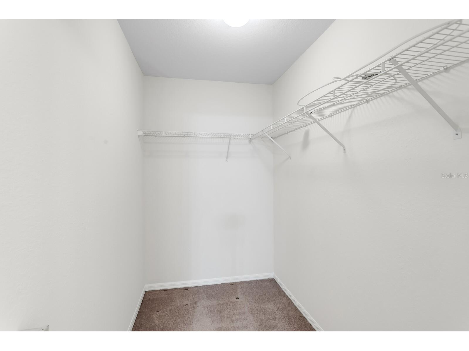 18108 Peregrines Perch Place #7110 Lutz FL 33558 TB8513236 image62