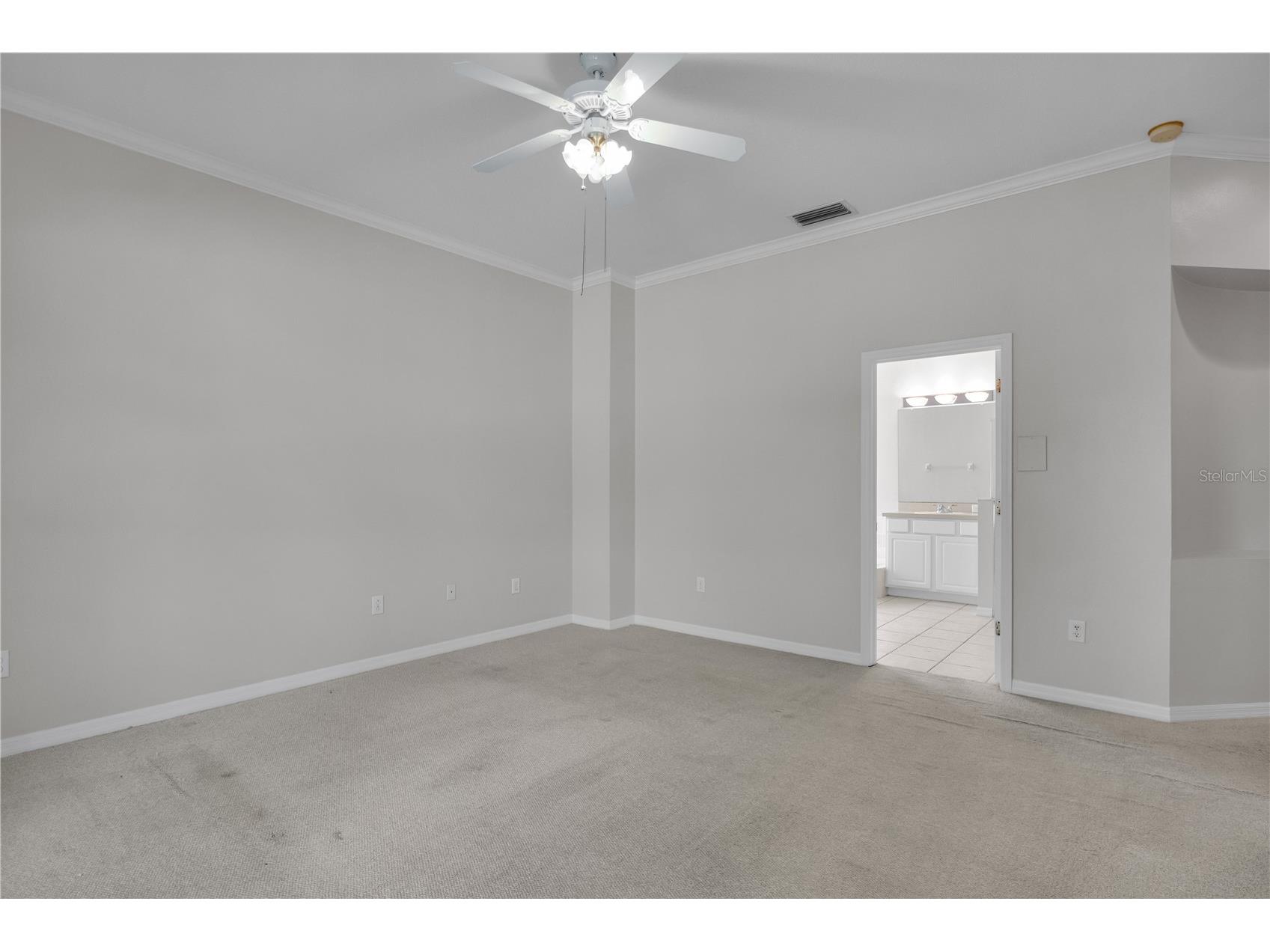 18108 Sugar Brooke Drive Tampa FL 33647 TB8412253 image26