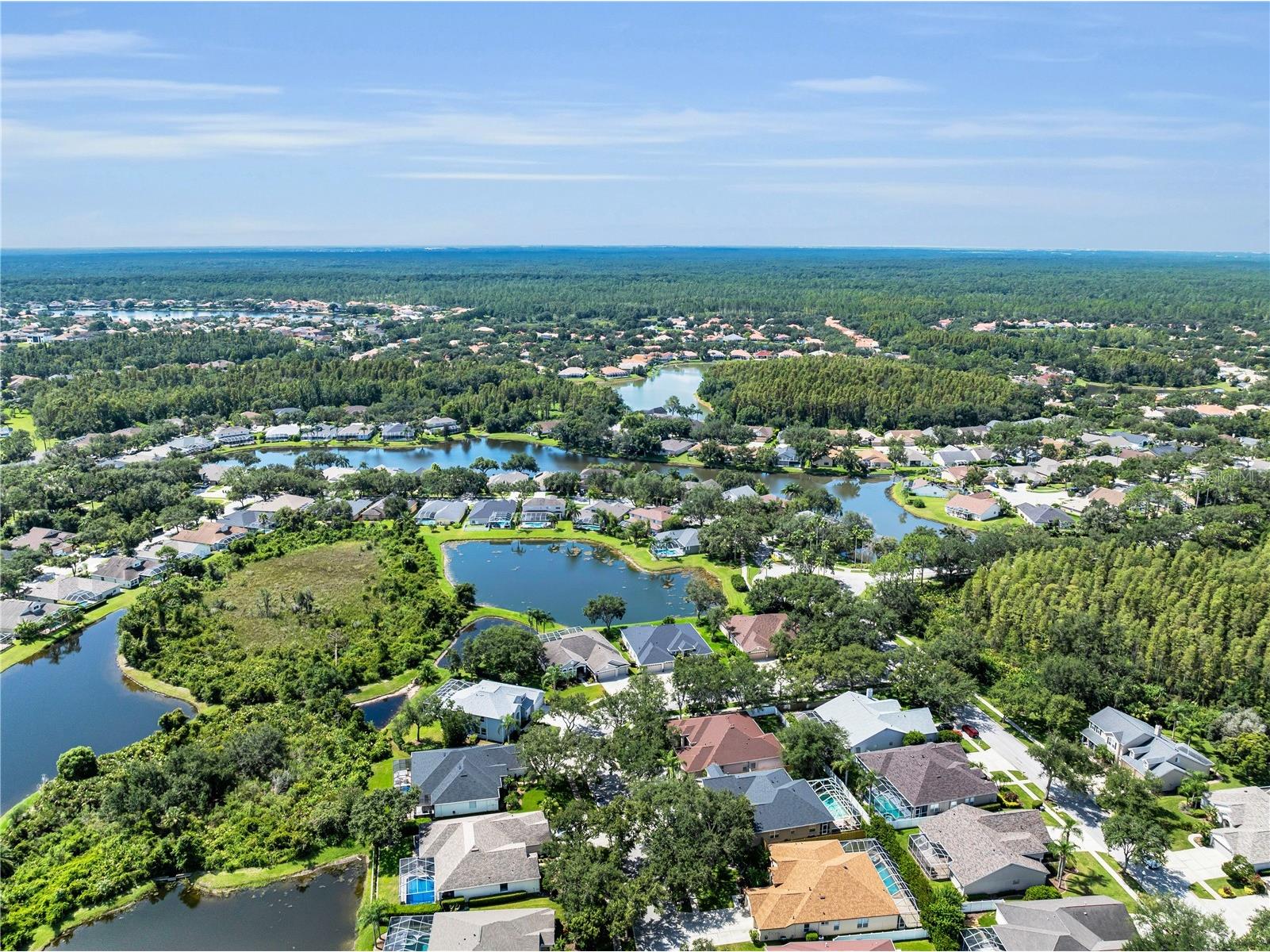 18108 Sugar Brooke Drive Tampa FL 33647 TB8412253 image46