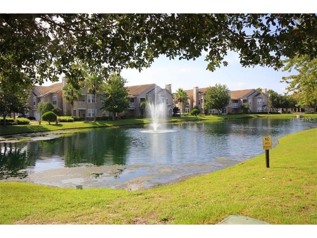 18108 Villa Creek Drive Tampa FL 33647 O6360559 image13