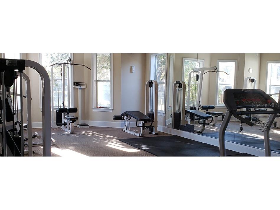 18108 Villa Creek Drive Tampa FL 33647 O6360559 image15