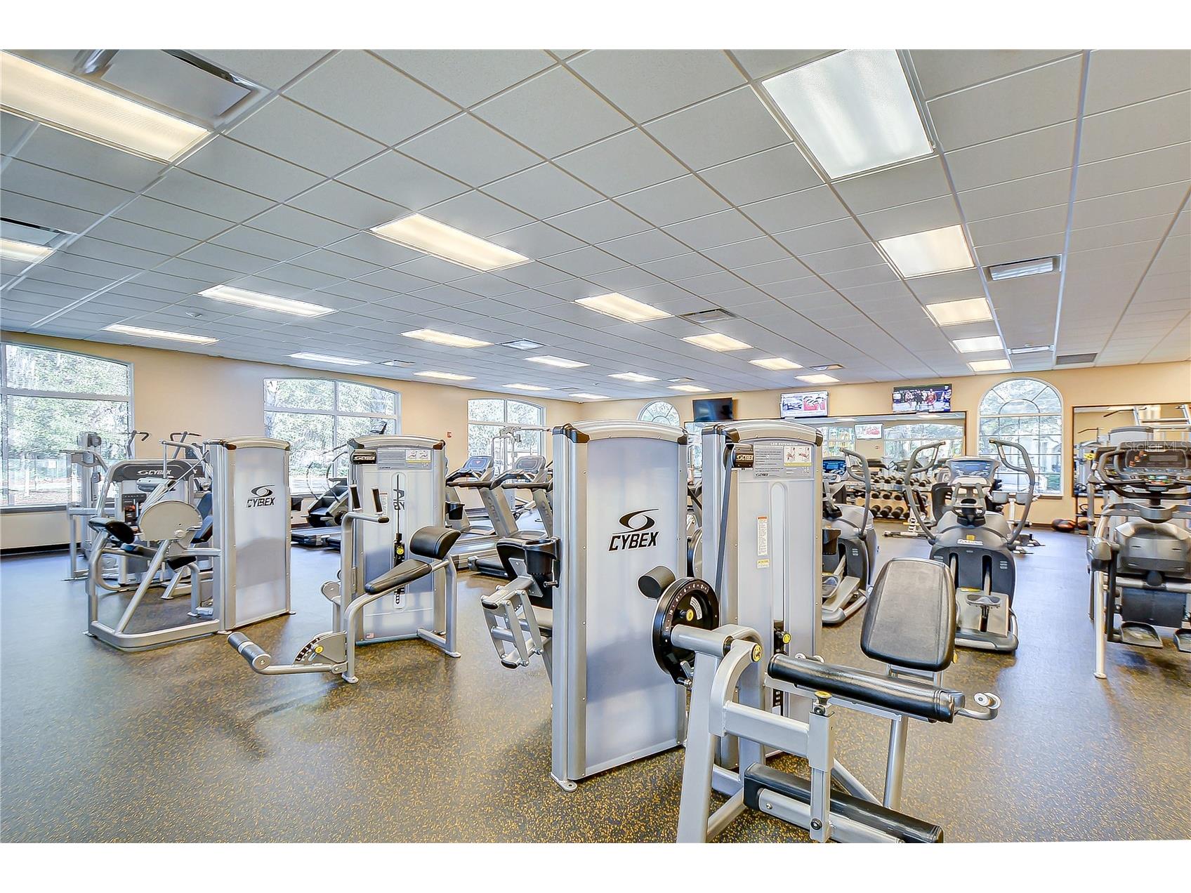 18109 Canal Pointe Street Tampa FL 33647 TB8471104 image48