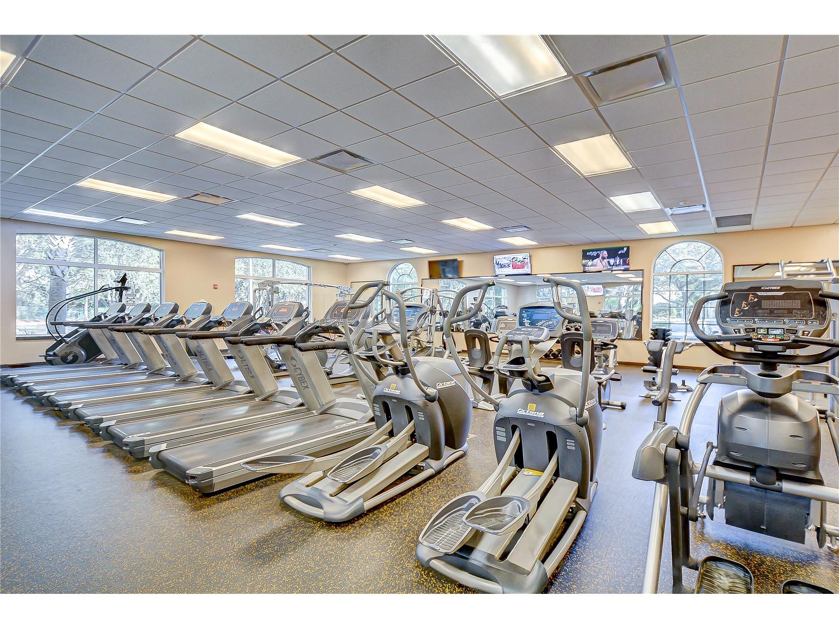 18109 Canal Pointe Street Tampa FL 33647 TB8471104 image49