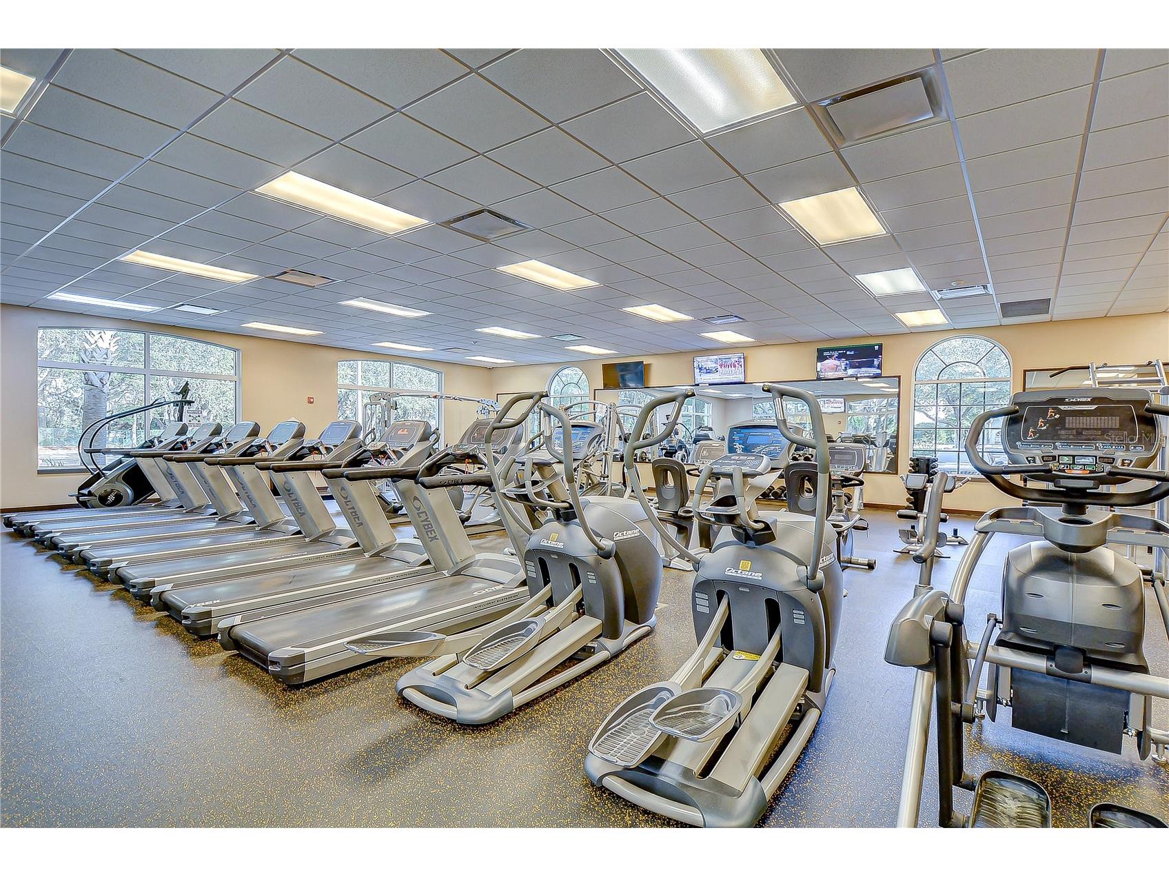 18109 Canal Pointe Street Tampa FL 33647 TB8471104 image50