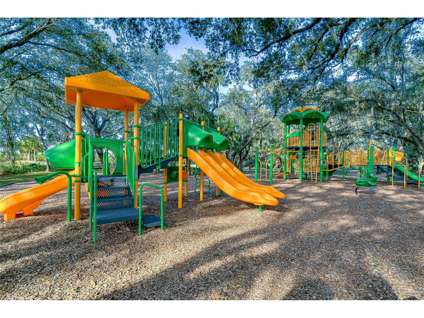 18109 Canal Pointe Street Tampa FL 33647 TB8471104 image53