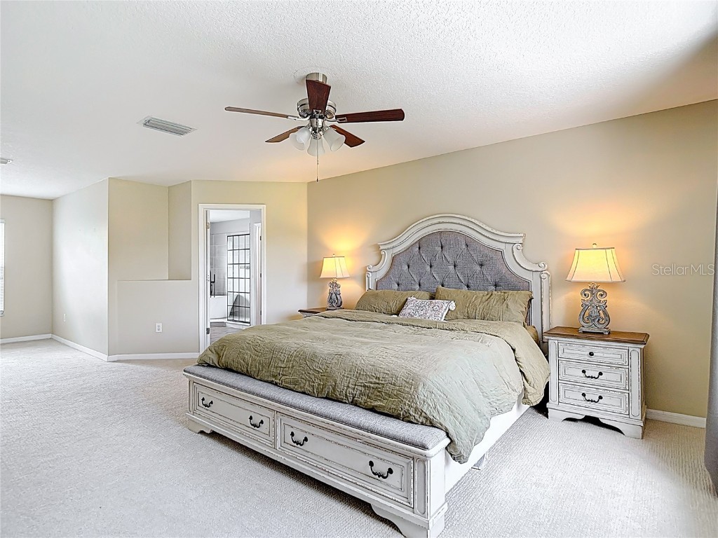 18109 Kara Court Tampa FL 33647 O6311795 image47