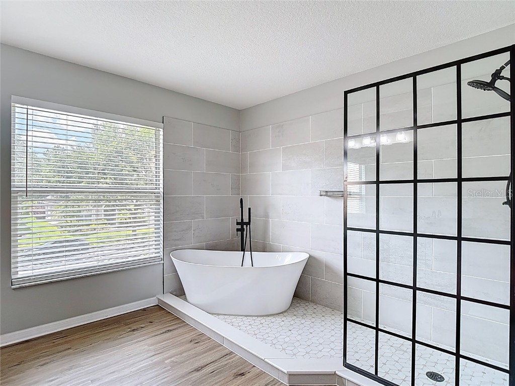 18109 Kara Court Tampa FL 33647 O6311795 image52