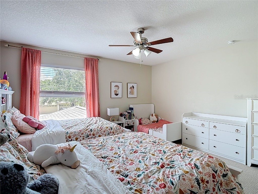 18109 Kara Court Tampa FL 33647 O6311795 image64