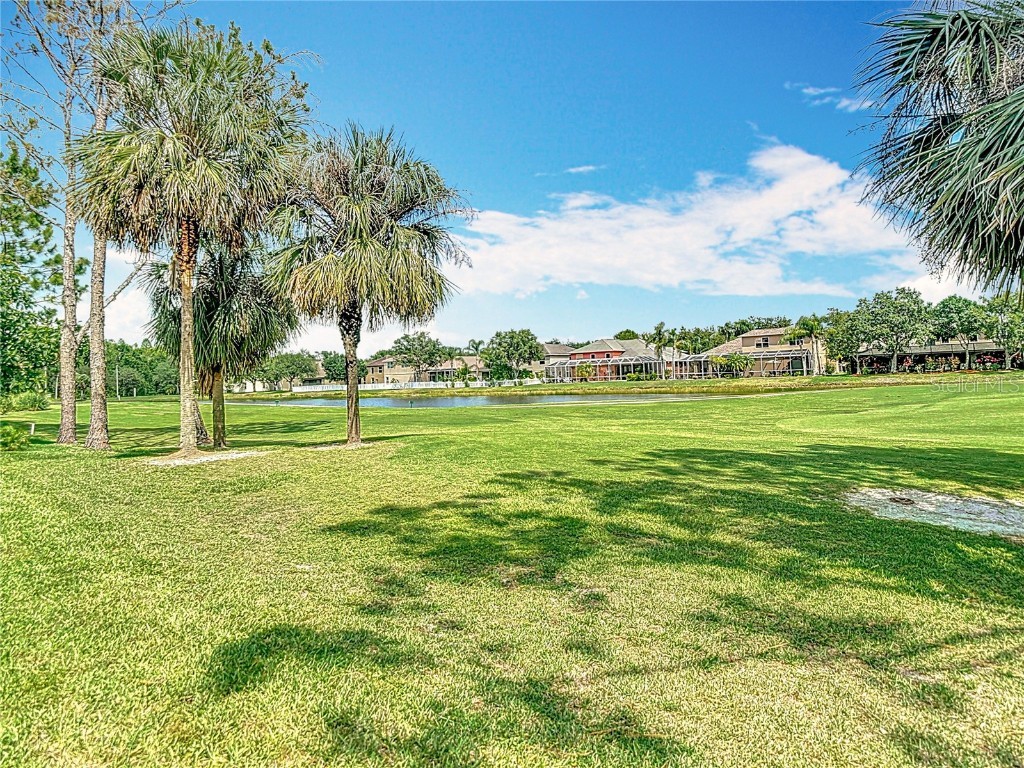 18109 Kara Court Tampa FL 33647 O6311795 image75