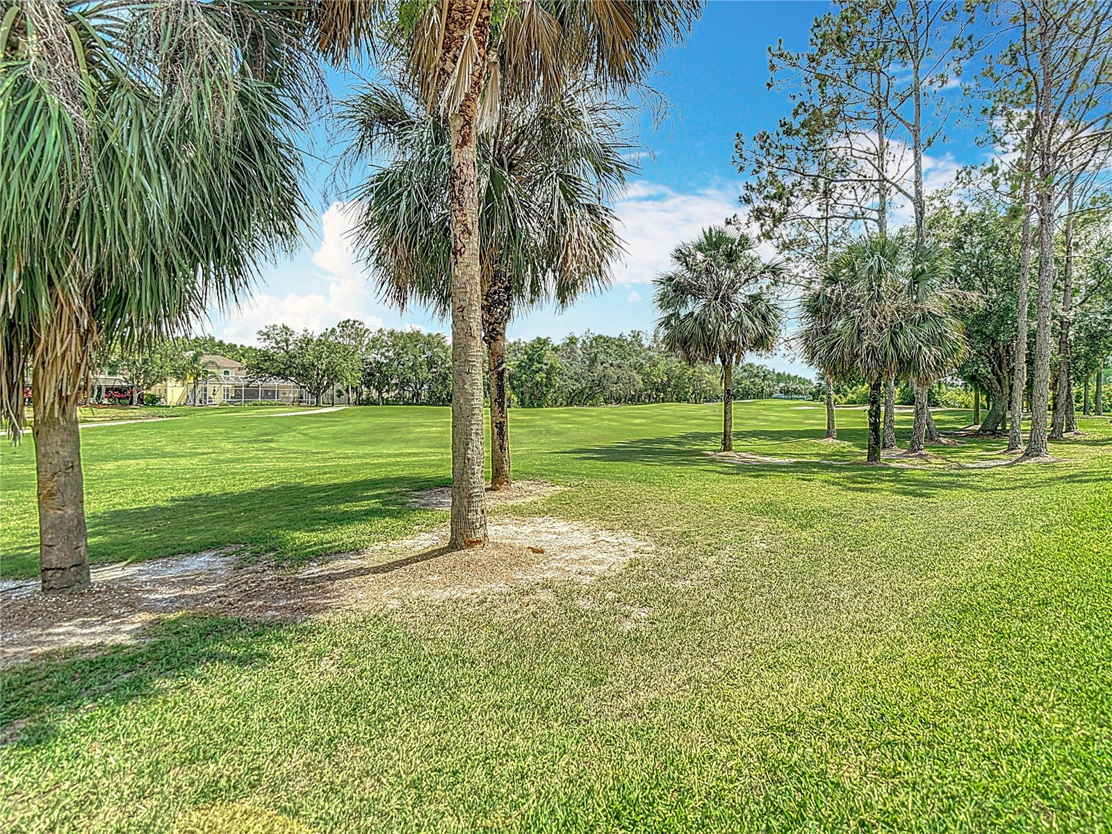18109 Kara Court Tampa FL 33647 O6397591 image77