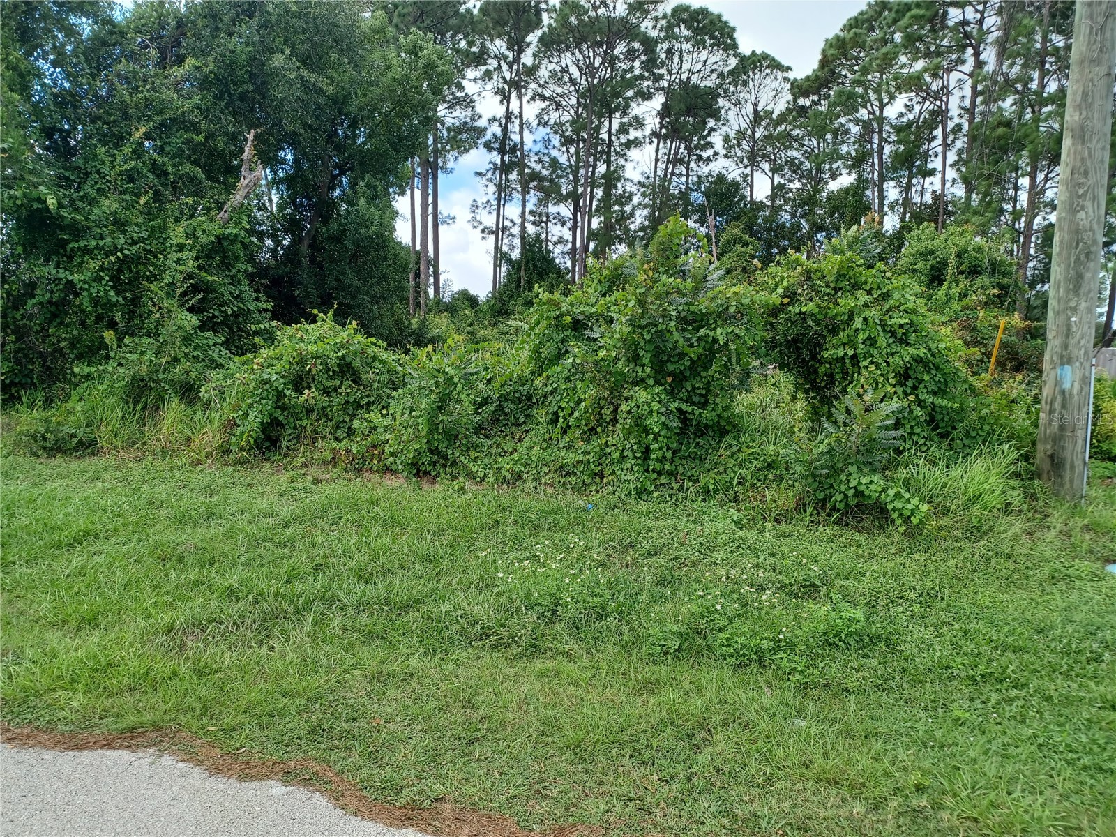1811 Amboy Drive Deltona FL 32738 V4945285 image1