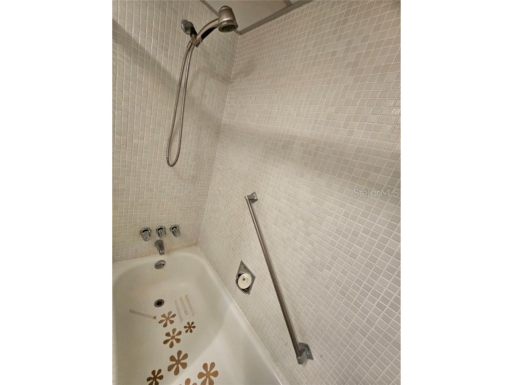 1811 Bedford Lane #163 Sun City Center FL 33573 TB8432425 image26