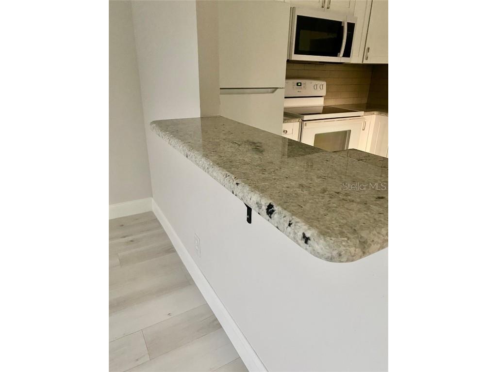 1811 Bedford Lane #166 Sun City Center FL 33573 W7880568 image13