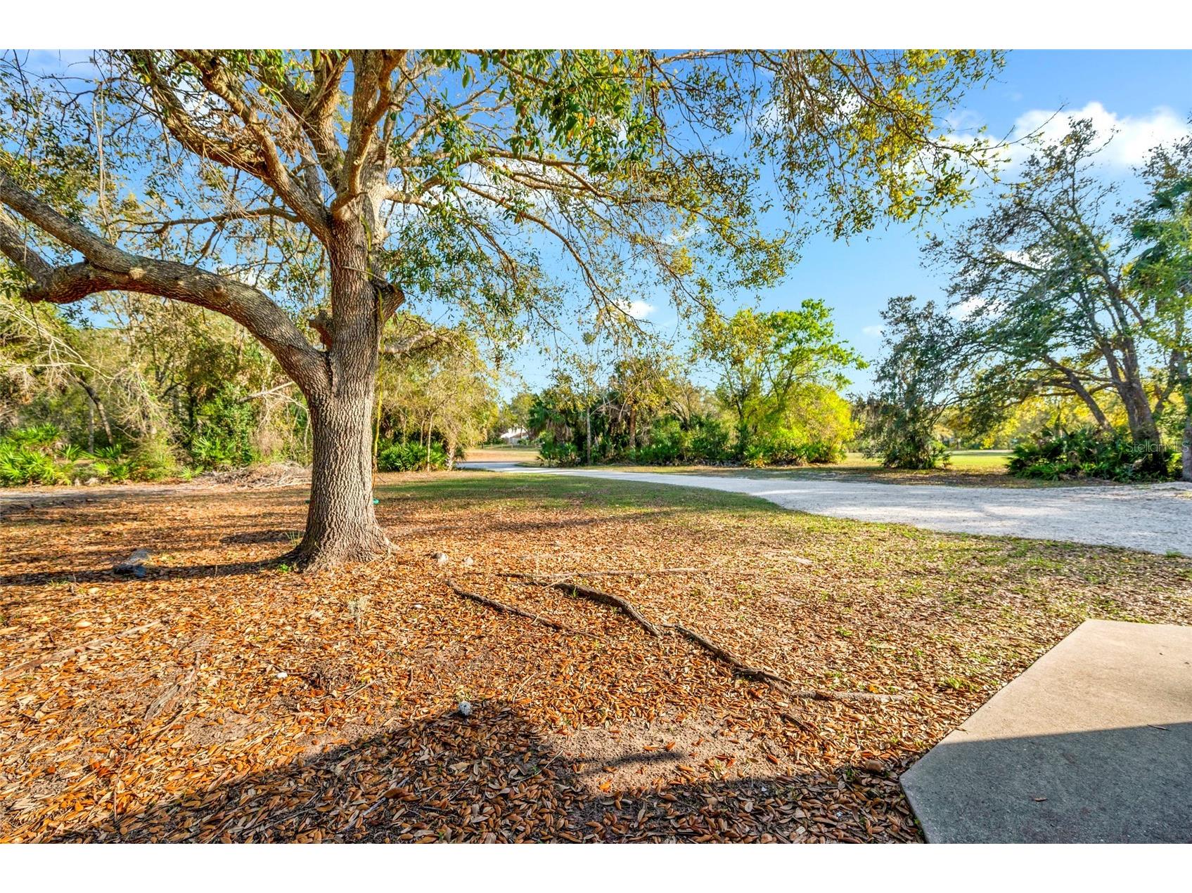 1811 Butch Cassidy Trail Wimauma FL 33598 - LITTLE MANATEE RIVER TB8485379 image8