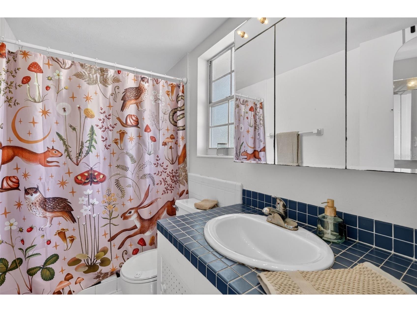 1811 Hilltop Drive Mount Dora FL 32757 - LAKE JOHN G5113321 image25