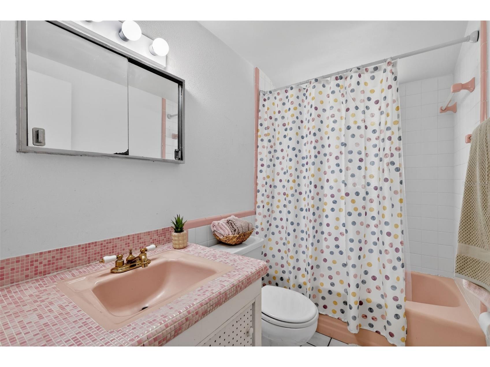 1811 Hilltop Drive Mount Dora FL 32757 - LAKE JOHN G5113321 image28